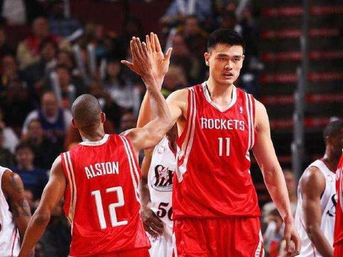 无插件直播nba免费直播jrs山猫 封面图