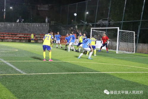 乐播足球app官网下载安装 封面图