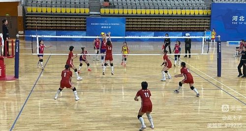 加媒：恩里克不选皇马球员并非丑闻  不选他们没问题