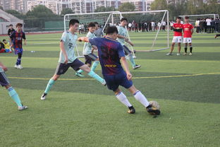 CBA：笑傲“齐鲁德比” 山东高速男篮再胜青岛男篮