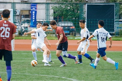 欧洲杯夺冠赔率:英格兰1赔4.5居首 西德法紧追