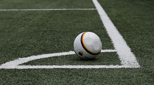男篮世界杯：东契奇空砍29分 立陶宛100-84斯洛文尼亚