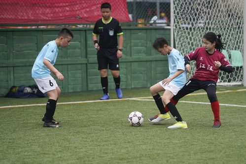 澳网：德约科维奇3-0汤米·保罗 第十次闯进澳网决赛